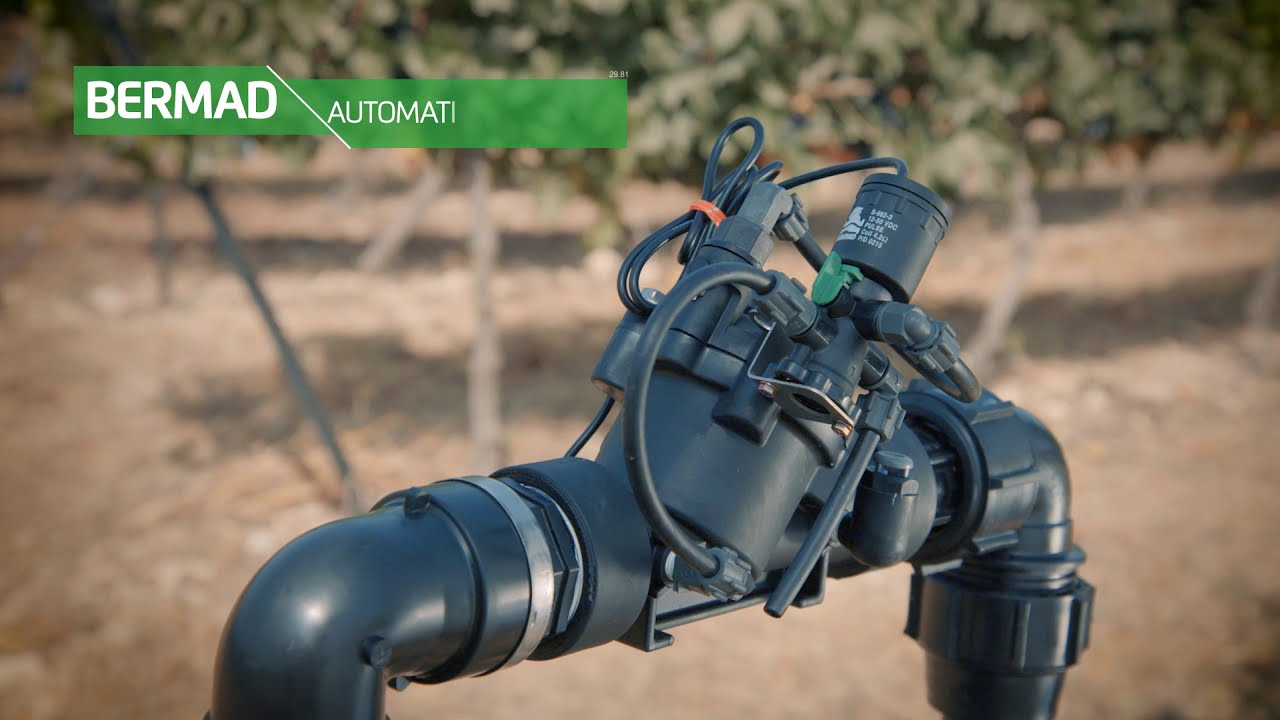 Van dien tu Bermad 1