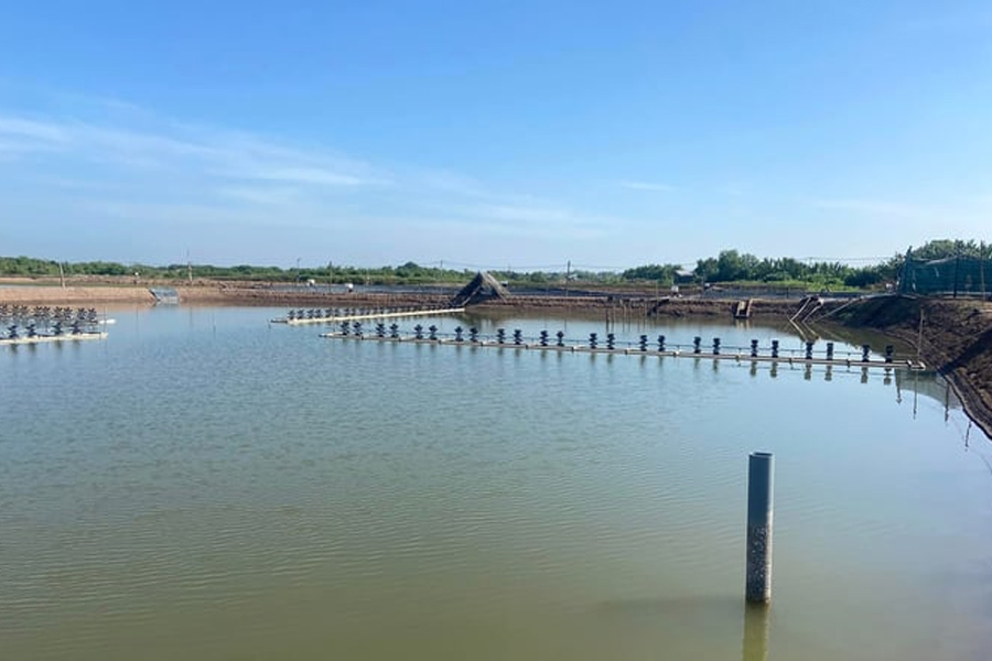 Dịch bệnh trên tôm diễn biến phức tạp