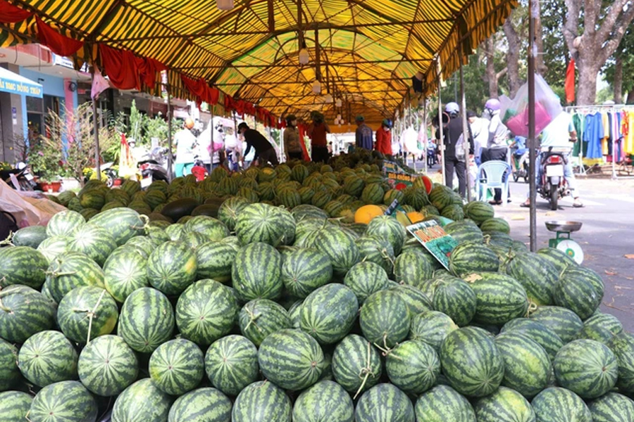 Dưa hấu tươi Việt Nam sẽ xuất khẩu chính ngạch sang Trung Quốc