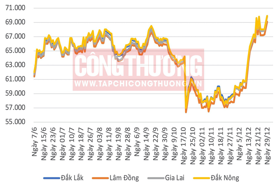 Giá cà phê hôm nay phá đỉnh lịch sử, nông dân không vội bán