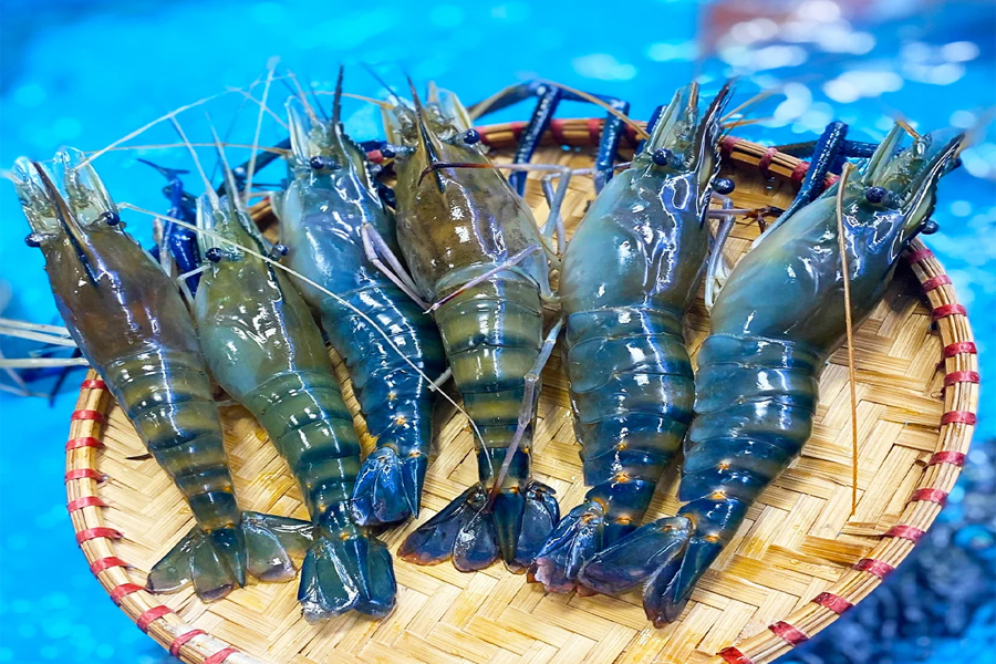 Giá tôm càng xanh giảm mạnh dịp cuối năm