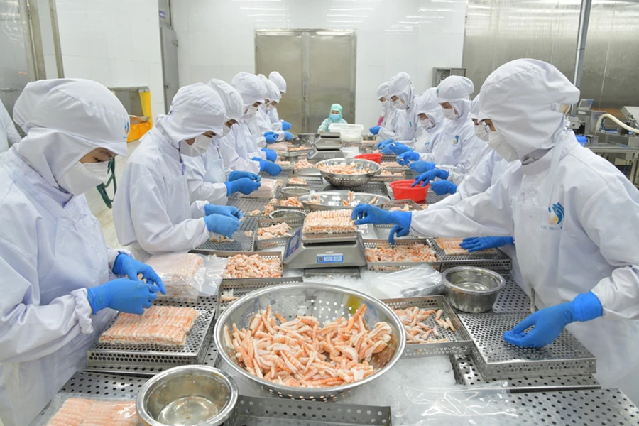 Nông nghiệp xuất siêu kỷ lục 12,07 tỉ USD