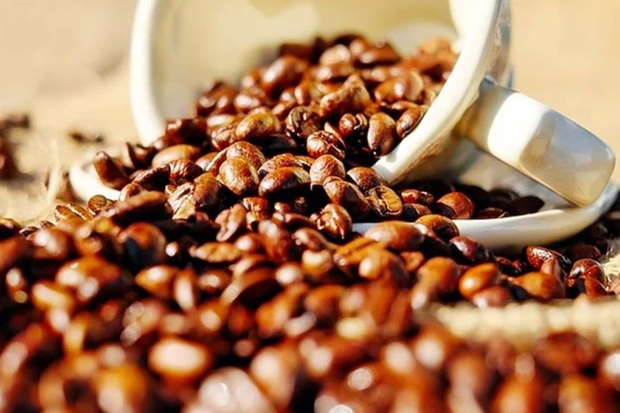 Thị trường giá cà phê hôm nay tăng nóng