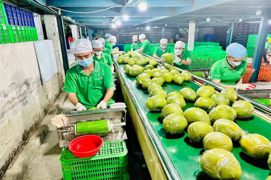 Triển vọng thêm hàng tỉ USD từ xuất khẩu sang Trung Quốc