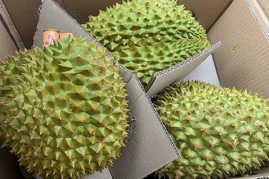 Trung Quốc chi gần 2 tỷ USD nhập khẩu sầu riêng Việt Nam