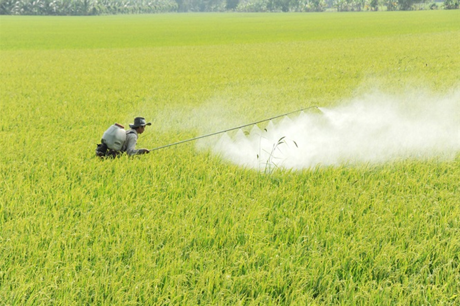 Ưu tiên phê duyệt thuốc bảo vệ thực vật sinh học hơn thuốc hóa học