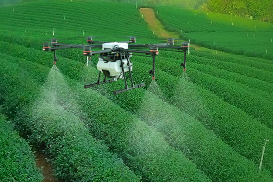 Ưu tiên phê duyệt thuốc bảo vệ thực vật sinh học hơn thuốc hóa học