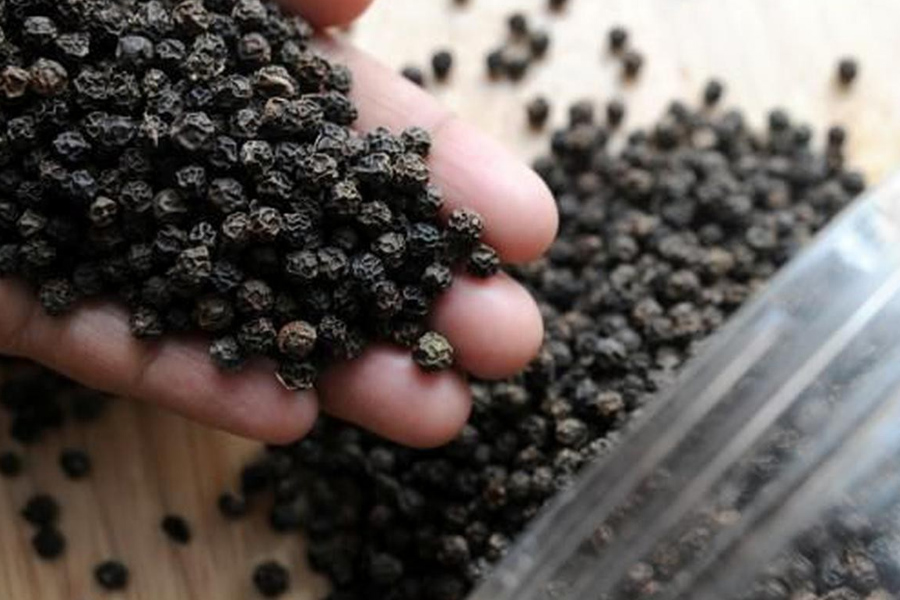 Giá tiêu sẽ tăng sau kỳ nghỉ Tết Giáp Thìn