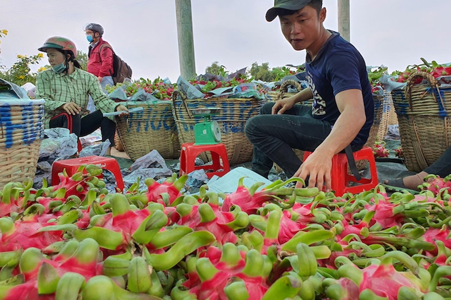 Khoảng 3.000 mã nông sản được phép xuất khẩu sang Trung Quốc