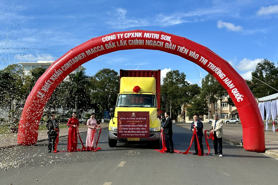 Lô mắc ca đầu tiên xuất khẩu chính ngạch sang Hàn Quốc