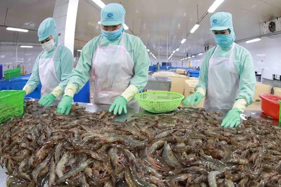 Ngành tôm hướng tới mục tiêu 4 tỷ USD