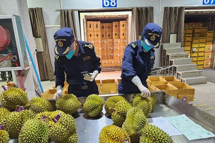 Sầu riêng Việt khiến sầu riêng Thái giảm mạnh thị phần