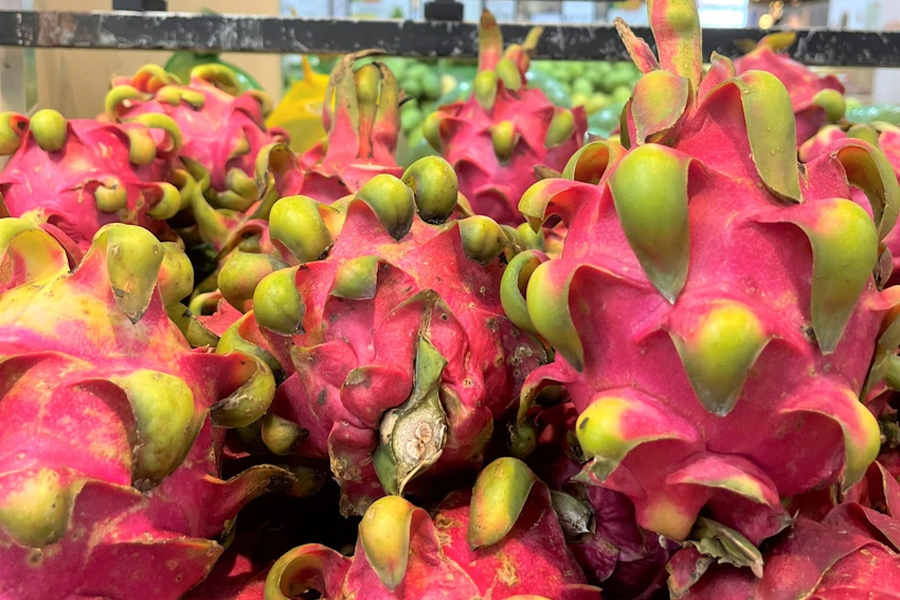 Sầu riêng Việt Nam bị kiểm tra dư lượng thuốc trừ sâu tại EU