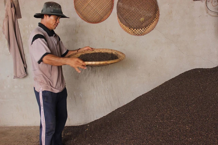 Xuất khẩu hạt tiêu gần chạm mốc 1 tỷ USD