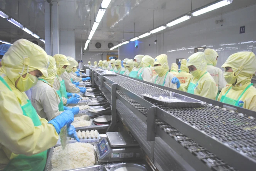 Xuất khẩu nông lâm thủy sản tăng trên 79%