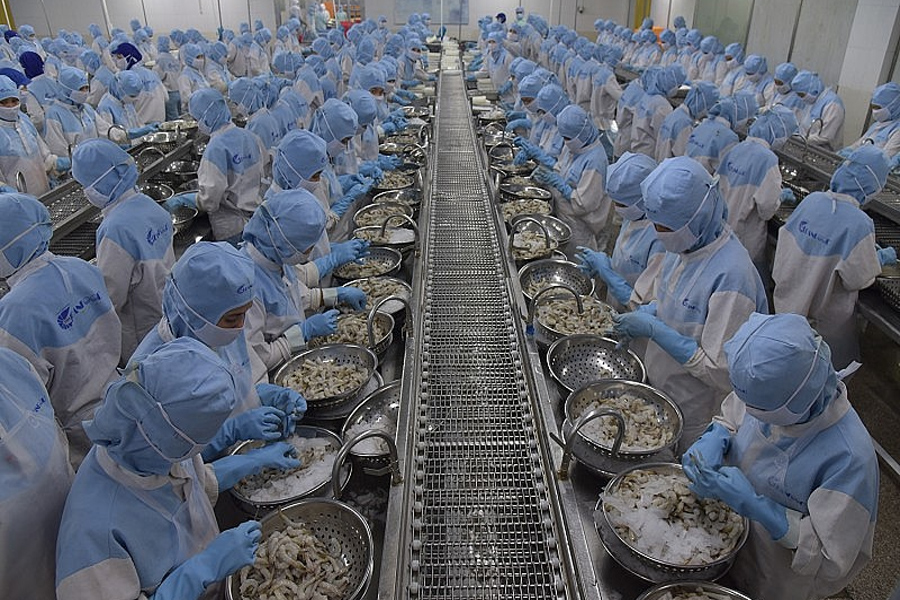 Xuất khẩu tôm sang Trung Quốc có thể phục hồi