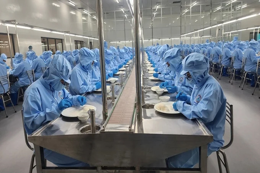 Yến sào bứt tốc mong đạt kỳ vọng tỷ đô