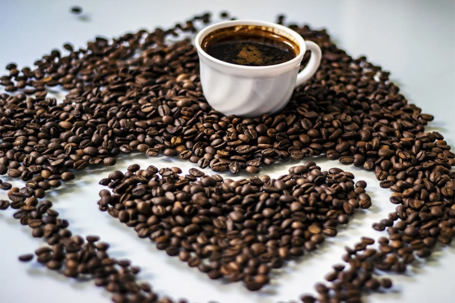 Giá cà phê hôm nay 12/5/2024